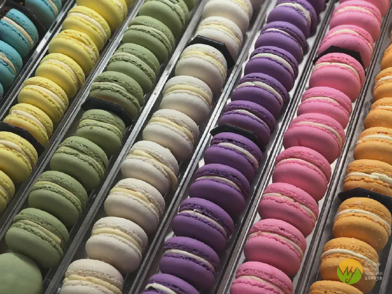 不只是黑森林蛋糕