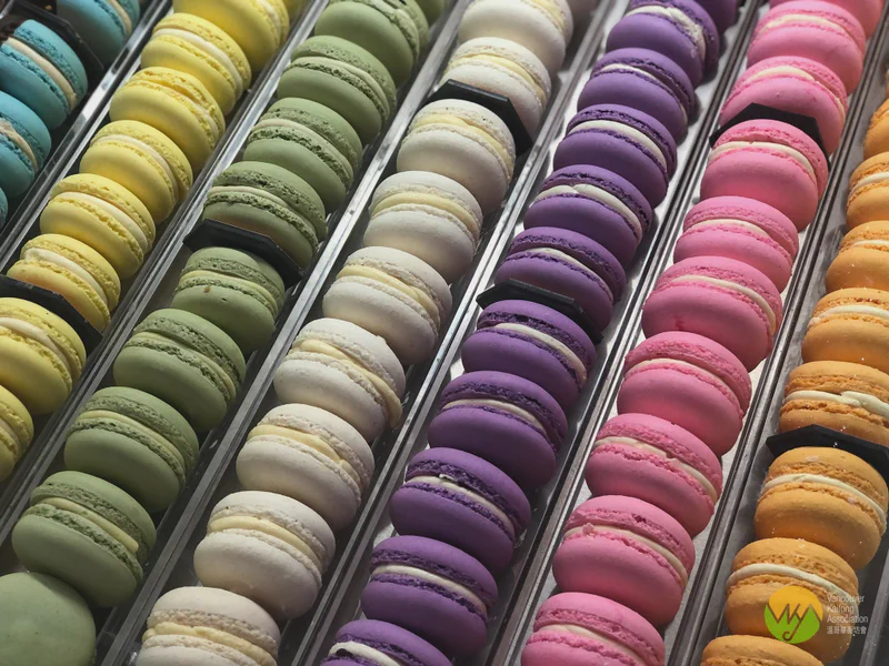 不只是黑森林蛋糕